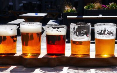 Exploring Different Beer Styles: A Guide for Tap Truck Owners